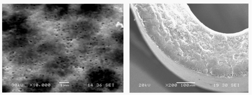 1665727270167883.jpg 9.jpg