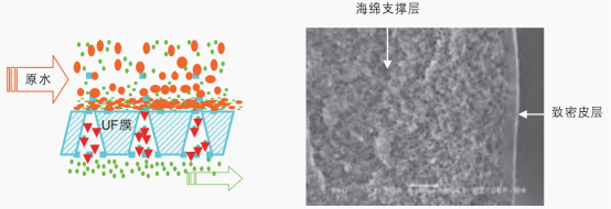 1668128716174793.jpg 1.jpg