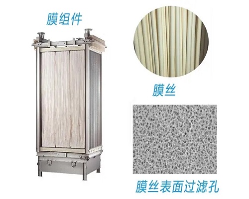 1689574277519524.jpg 064106516501515.webp.jpg